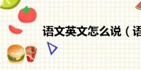 語文英文怎么說(語文英文)