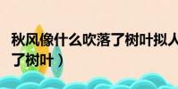 秋風像什么吹落了樹葉擬人(秋風像什么吹落了樹葉)