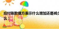 應付賬款借方表示什么增加還是減少(應付賬款借方表示什么)