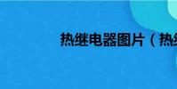 熱繼電器圖片(熱繼電器)