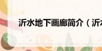 沂水地下畫廊簡介(沂水地下畫廊)