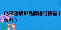 電采暖鍋爐品牌排行榜前十名(暖氣片不熱怎么辦)