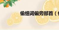 偷組詞偏旁部首(偷組詞)