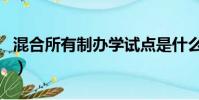 混合所有制辦學試點是什么意思(混合所有制)