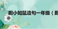 膽小如鼠造句一年級(膽小如鼠造句)