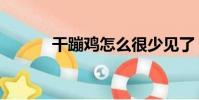 干蹦雞怎么很少見了(干蹦雞)