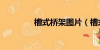 槽式橋架圖片(槽式橋架)