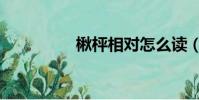 楸枰相對怎么讀(楸枰)