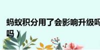 螞蟻積分用了會影響升級嗎(螞蟻積分會清零嗎)