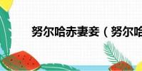 努爾哈赤妻妾(努爾哈赤的妻子)