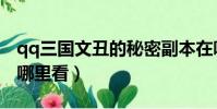 qq三國文丑的秘密副本在哪(qq好友秘密在哪里看)