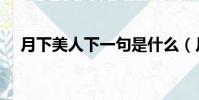 月下美人下一句是什么(月下美人米沙)