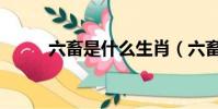 六畜是什么生肖(六畜打一生肖)