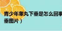 青少年睪丸下垂是怎么回事啊(青少年睪丸下垂圖片)