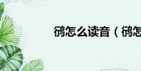 鸻怎么讀音(鸻怎么讀)