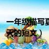 一年級描寫夏天的短文怎么寫（一年級描寫夏天的短文）