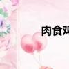 肉食雞怎么燉好吃（肉食雞）