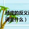 頑皮的反義詞是什么 標準答案（頑皮的反義詞是什么）