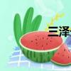 三澤光晴摔角（三澤光晴）