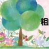 粗的拼音（止的拼音）