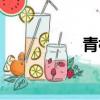 青樓夢歌曲（青樓夢）