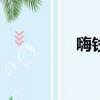 嗨錢網app下載（嗨錢）