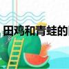 田雞和青蛙的區別視頻（田雞和青蛙的區別）