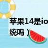 蘋果14是ios幾的系統（蘋果組裝機是ios系統嗎）