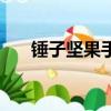 錘子堅果手機怎么樣（錘子堅果手機）