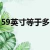 59英寸等于多少厘米（5 99英寸是多少厘米）