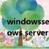 windowsserver2008r2datacenter（windows server2008）