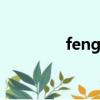 feng的意思（風鞍的意思）