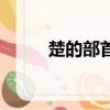 楚的部首是林還是疋（楚的部首）