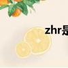 zhr是什么牌子的鞋（zhr）