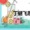 丁健飛原型（丁健飛怎么犧牲的）