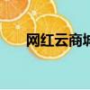 網紅云商城下載安裝（網紅云商app）