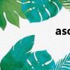 ascribe to（ascribe）