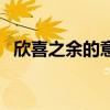 欣喜之余的意思是什么（欣喜之余的意思）