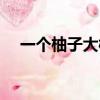 一個柚子大概多少片（一個柚子多少粒）