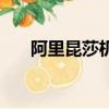 阿里昆莎機場是哪里（阿里昆莎機場）