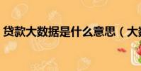 貸款大數據是什么意思(大數據是什么意思)