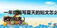 一年級描寫夏天的短文怎么寫(一年級描寫夏天的短文)