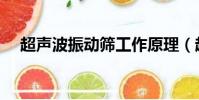 超聲波振動篩工作原理(超聲波振動篩)
