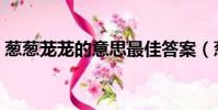 蔥蔥蘢蘢的意思最佳答案(蔥蔥蘢蘢的意思)