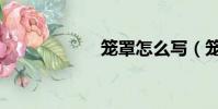 籠罩怎么寫(籠罩)
