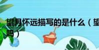 望月懷遠描寫的是什么(望月懷遠是描寫中秋嗎)