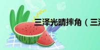 三澤光晴摔角(三澤光晴)