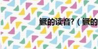 鱖的讀音?(鱖的讀音)