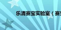 樂清賽寶實驗室(賽寶實驗室)