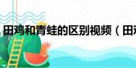 田雞和青蛙的區別視頻(田雞和青蛙的區別)